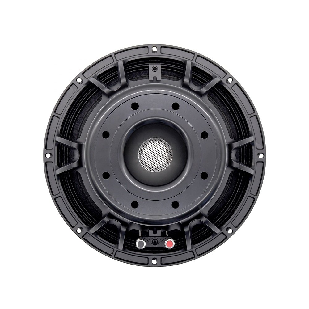 Speakers - Équipement audio professionnel 12DS, haut-parleur 12'',