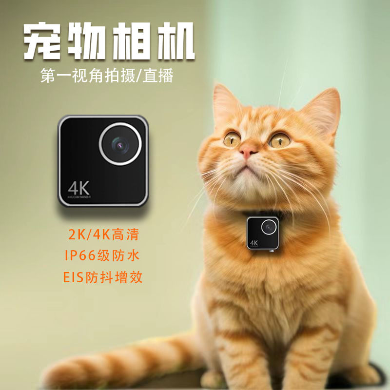 Caméra intelligente pour colli - Cameras avis et prix