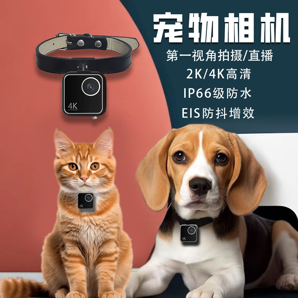 Caméra intelligente pour colli - Cameras avis et prix